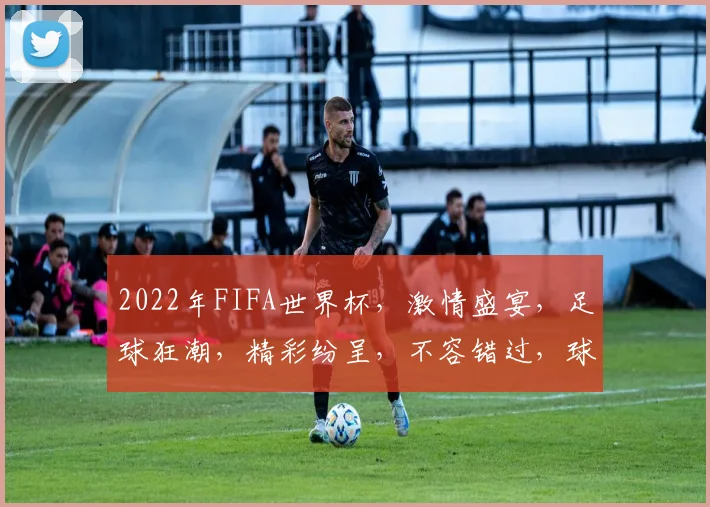 2022年FIFA世界杯，激情盛宴，足球狂潮，精彩纷呈，不容错过，球迷狂欢