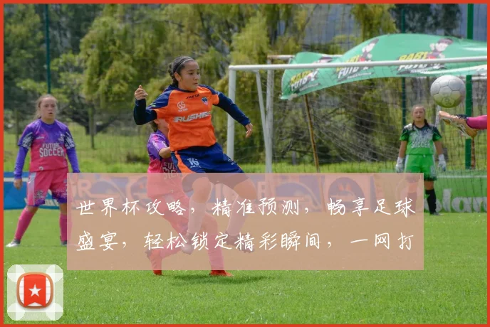 世界杯攻略，精准预测，畅享足球盛宴，轻松锁定精彩瞬间，一网打尽
