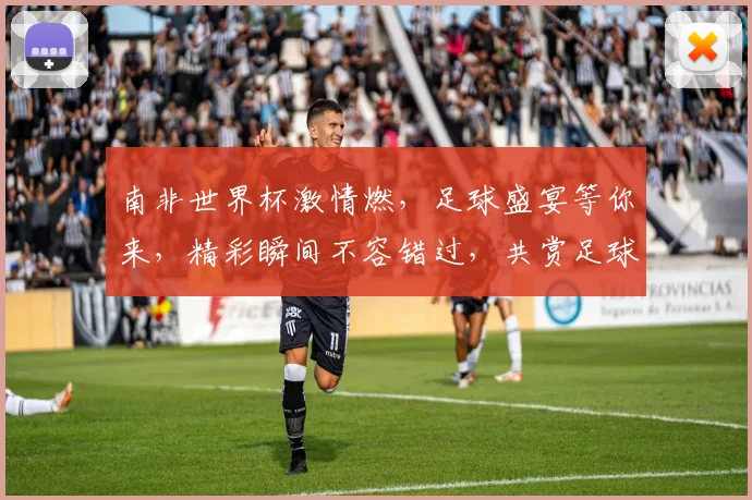 南非世界杯激情燃，足球盛宴等你来，精彩瞬间不容错过，共赏足球魅力